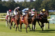 Duckadilly 090726PML1744.jpg