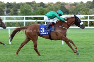 9 August 2018;  EZIYRA, Declan McDonogh aboard, scores a convincing success in The Grenke Finance Ballyroan Stakes at Leopardstown.      © Peter Mooney, 59 Upper George's Street, Dun Laoghaire, Co. Dublin, Ireland.    Tel:  00 353 (0)86 2589298