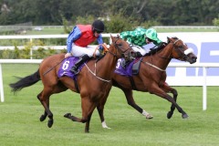 9 August 2018;  BETSY TROTTER, Declan McDonogh up, far side, defeating T For Tango, Billy Lee up, in The Fitzers Catering Handicap at Leopardstown.      © Peter Mooney, 59 Upper George's Street, Dun Laoghaire, Co. Dublin, Ireland.    Tel:  00 353 (0)86 2589298