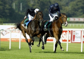 Dylan Thomas PML0022671.jpg