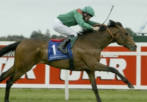 Alayan PM00318296.jpg