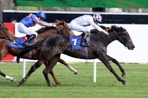 Banimpire PML 00151248