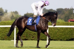 Banimpire PML 00151210