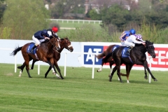 Banimpire PML 00151221