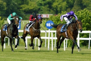 Fame And Glory PML 0090510.JPG