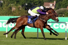 Dunboyne Express PML 00122752.JPG