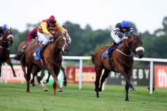 Recharge PML 00122987.JPG