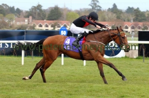 jet-setting-090416pml926