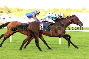 almanzor-100916pml713 almanzor-100916pml713
