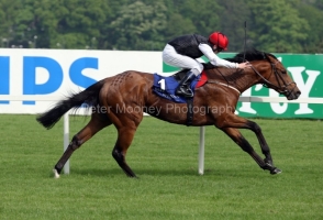 Casual Conquest PML 0068640.JPG