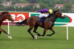 Carribean Sunset PML 00.JPG