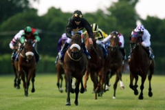 Bangalore Gold PML 0093627.JPG