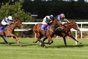 11 July 2019;  LOVE, Donnacha O'Brien up, far side, holds the challenges of Soul Search, Colin Keane up, and Alpine Star, Shane Foley up, white cap, to win The Irish Stallion Farms European Breeders Fund Fillies Maiden at Leopardstown.      © Peter Mooney, 59 Upper George's Street, Dun Laoghaire, Co. Dublin, Ireland.    Tel:  00 353 (0)86 2589298