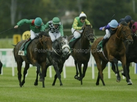 Azamour PML00037363.jpg