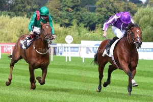 11 September 2021; St Marks Basilica, Ryan Moore up, defeating Tarnawa, Colin Keane up, in The Irish Champion Stakes at Leopardstown.  © Peter Mooney, 59 Upper George's Street, Dun Laoghaire, Co. Dublin, A96 H2R3, Ireland  Tel: 00 353 (0)86 2589298