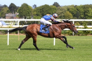 12 May 2019;  BROOME, Donnacha O'Brien up, winning The Derrinstown Stud Derby Trial Stakes at Leopardstown.      © Peter Mooney, 59 Upper George's Street, Dun Laoghaire, Co. Dublin, Ireland.    Tel:  00 353 (0)86 2589298