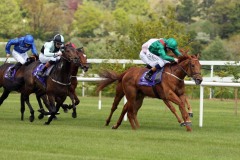12 May 2019;  BALADIYA, Chris Hayes up, defeating Royal Court, Donnacha O'Brien up, and Super Treat, Oisin Orr up, quartered cap, in The Walsh Associates Architects Maiden at Leopardstown.      © Peter Mooney, 59 Upper George's Street, Dun Laoghaire, Co. Dublin, Ireland.    Tel:  00 353 (0)86 2589298