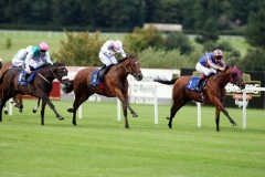 Beethoven-PML 00130953.JPG