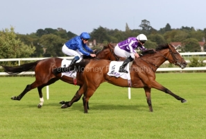 Magical-120920PML0854