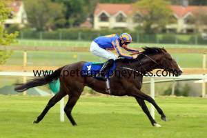 battle-of-marengo-pml-00124950