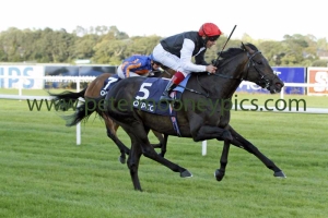 golden-horn-120915pml656_0 golden-horn-120915pml656_0