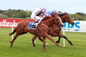 PML 00186444 PML 00186444