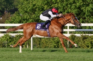 Kyprios 130522PML0791.jpg