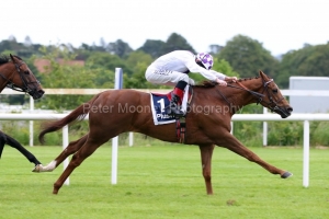 13 June 2019;   FLIGHT RISK, Kevin Manning up, winning The Plusvital Ballycorus Stakes at Leopardstown.      © Peter Mooney, 59 Upper George's Street, Dun Laoghaire, Co. Dublin, Ireland.    Tel:  00 353 (0)86 2589298