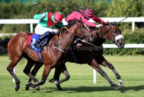 Mutasarref 130624PML0