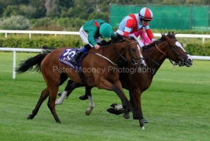 Shamida 130723PML0469.jpg