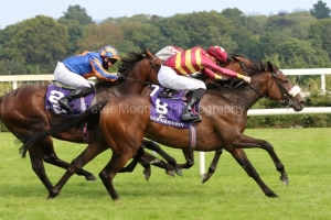 13 August 2020;   Pista and Shane Crosse, nearside, arrive with a storming late run to claim The Vinnie Roe Stakes at Leopardstown.© Peter Mooney, 59 Upper George's Street, Dun Laoghaire, Co. Dublin, A96 H2R3, Ireland  Tel: 00 353 (0)86 2589298