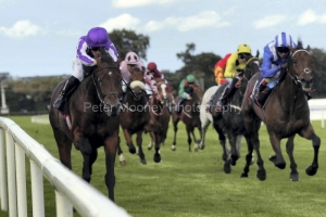 Delacroix 130925PML0819.jpg