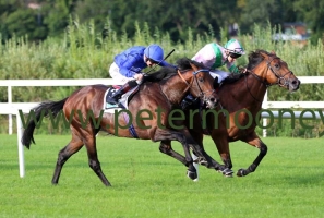 moonlight-magic-200717pml0651