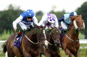 tandem-130717pml0531