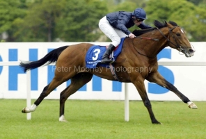 Dylan Thomas PML00340340.jpg