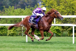 14 May 2021;   Emperor Of The Sun is driven to victory by Gavin Ryan in The Saval Beg Levmoss Stakes at Leopardstown.© Peter Mooney, 59 Upper George's Street, Dun Laoghaire, Co. Dublin, A96 H2R3, Ireland  Tel: 00 353 (0)86 2589298