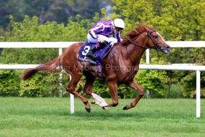 14 May 2021;   Emperor Of The Sun is driven to victory by Gavin Ryan in The Saval Beg Levmoss Stakes at Leopardstown.© Peter Mooney, 59 Upper George's Street, Dun Laoghaire, Co. Dublin, A96 H2R3, Ireland  Tel: 00 353 (0)86 2589298