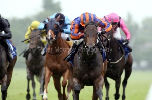 Fire Lily-PML 00188233