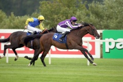 Camelot PML 00158848