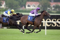 Camelot PML 00158850