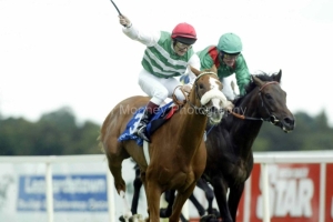 Chelsea Rose PMOO326783.jpg