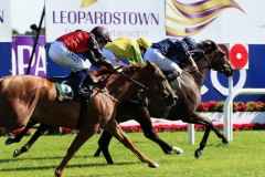 14 September 2019;  BLISSFUL, Ryan Moore up, just overcomes Nurse Barbara, Colin Keane up, to claim The Ballylinch Stud Irish European Breeders Fund Ingabelle Stakes at Leopardstown.      © Peter Mooney, 59 Upper George's Street, Dun Laoghaire, Co. Dublin, Ireland.    Tel:  00 353 (0)86 2589298