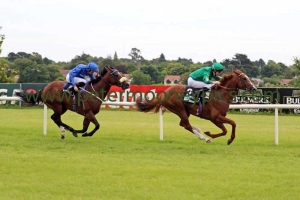 decorated-knight-140716pml0477 decorated-knight-140716pml0477