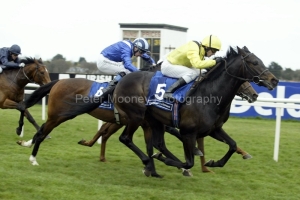 Yasoodd 38AF4107.jpg