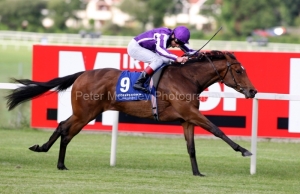 Together-PML-00128090