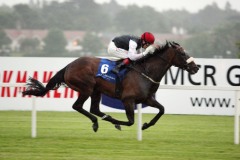 Profound Beauty PML 00128179.JPG