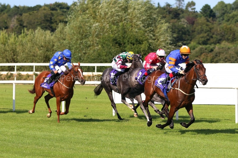 15 August 2019;   LAST OPPORTUNITY, Colin Keane up, winning The Irish Stallion Farms European Breeders Fund Median Auction Maiden at Leopardstown.      © Peter Mooney, 59 Upper George's Street, Dun Laoghaire, Co. Dublin, Ireland.    Tel:  00 353 (0)86 2589298
