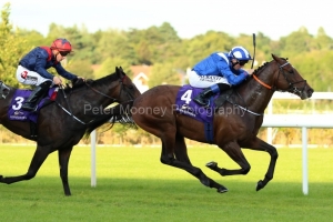 15 August 2019;   MADHMOON, Chris Hayes up, winning The Invesco Pension Consultants Desmond Stakes at Leopardstown.      © Peter Mooney, 59 Upper George's Street, Dun Laoghaire, Co. Dublin, Ireland.    Tel:  00 353 (0)86 2589298