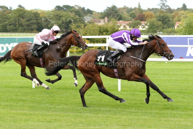 15 September 2018;   I CAN FLY and Ryan Moore prove too strong for stable companion, Kenya, Seamie Heffernan up, in The Clipper Logistics Boomerang Stakes at Leopardstown.      © Peter Mooney, 59 Upper George's Street, Dun Laoghaire, Co. Dublin, Ireland.    Tel:  00 353 (0)86 2589298
