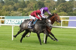15 September 2018;   ROARING LION and Oisin Murphy, nearside, come late to defy Saxon Warrior, Ryan Moore up, in The Qipco Irish Champion Stakes at Leopardstown.      © Peter Mooney, 59 Upper George's Street, Dun Laoghaire, Co. Dublin, Ireland.    Tel:  00 353 (0)86 2589298